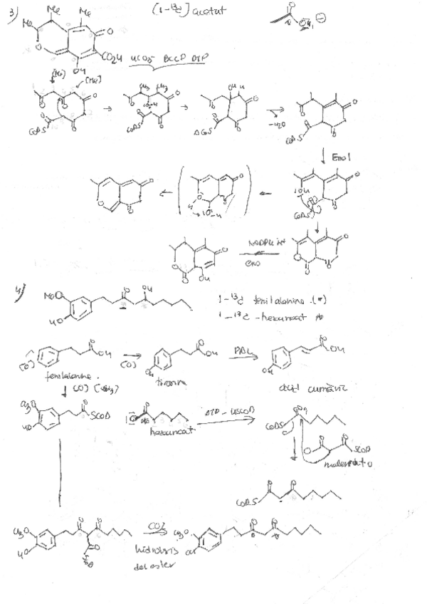 Miniatura del documento 1611005875315cuartoparcialsolucionesb.pdf