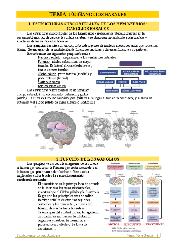 Miniatura del documento TEMA 10. Ganglios basales