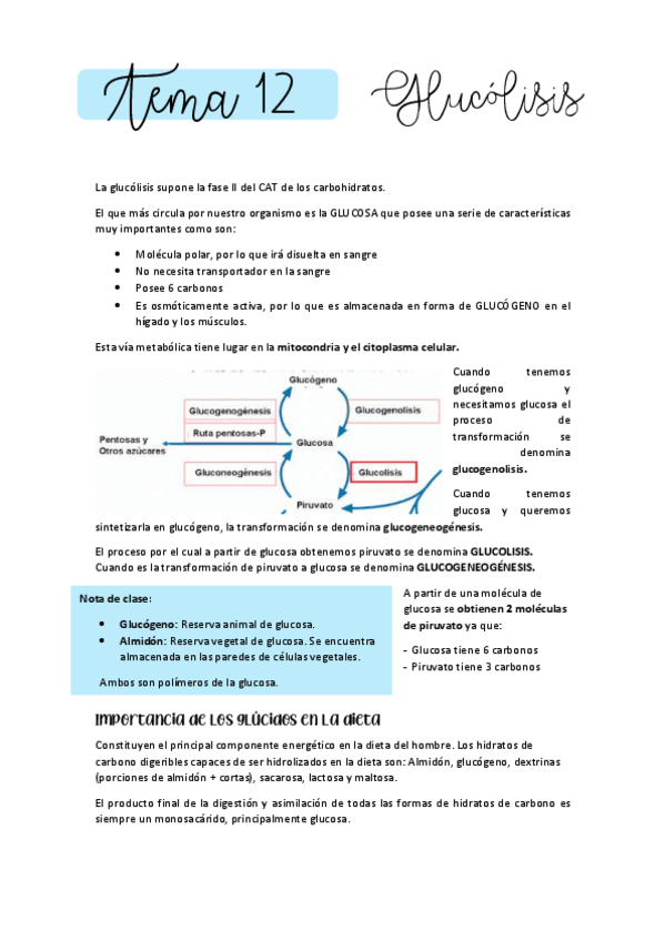 Miniatura del documento BIOQUIMICA-T12.pdf