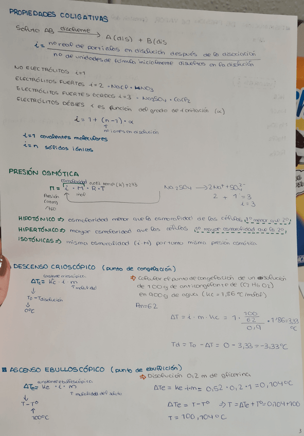 Miniatura del documento 20211128213826.jpg