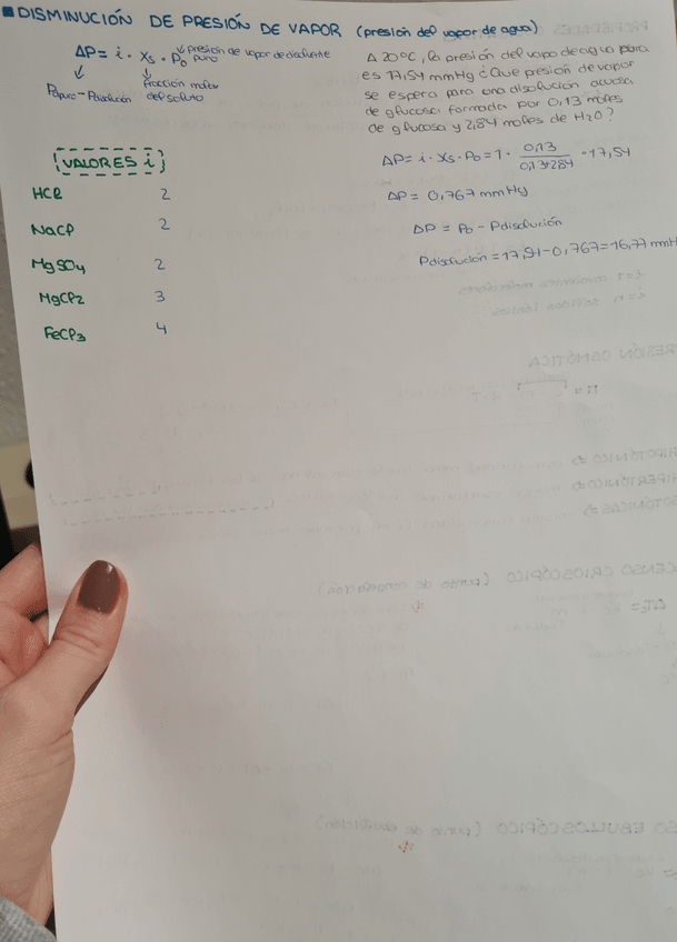 Miniatura del documento 20211128213832.jpg