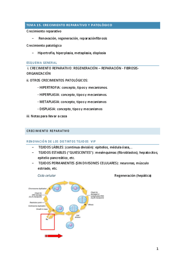 Miniatura del documento AP-T15-T16-T17-T18-T19-T20.pdf