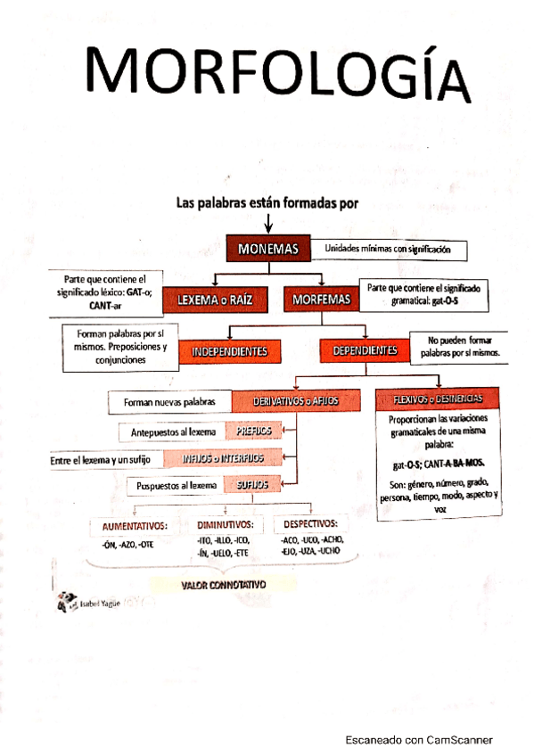 Miniatura del documento morfologia-2-bach.pdf