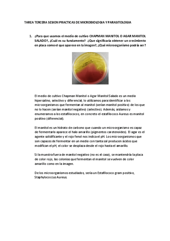 Miniatura del documento TAREAS-TERCERA-SESION-PRACTICAS-PARA-MEMORIA.pdf