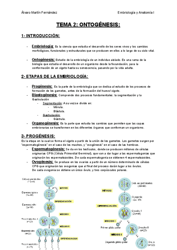 Miniatura del documento Tema-2-Ontogenesis.pdf