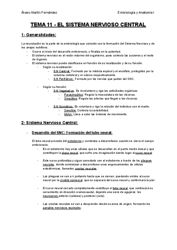 Miniatura del documento TEMA-11-EL-SISTEMA-NERVIOSO-CENTRAL.pdf