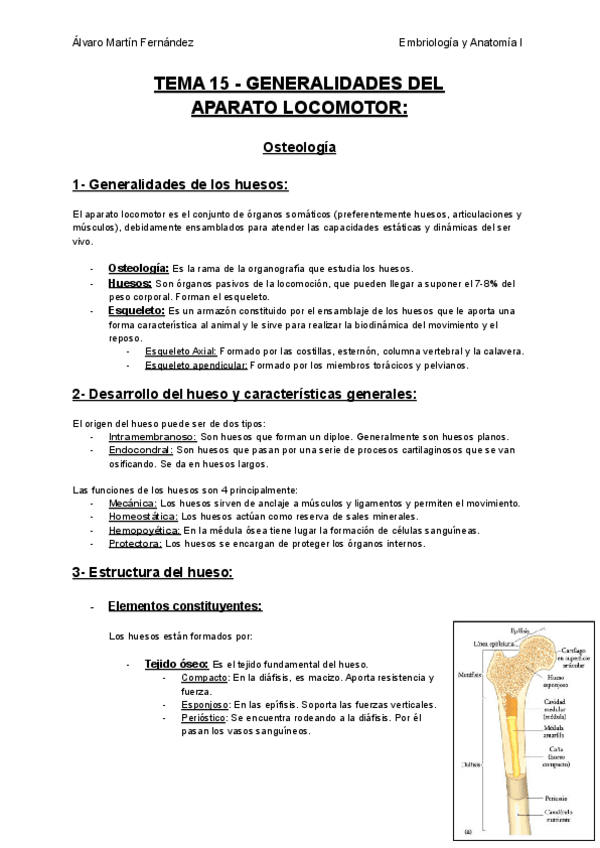 Miniatura del documento TEMA-15-GENERALIDADES-DEL-APARATO-LOCOMOTOR.pdf