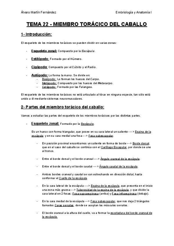 Miniatura del documento TEMA-22-MIEMBRO-TORACICO-DEL-CABALLO.pdf