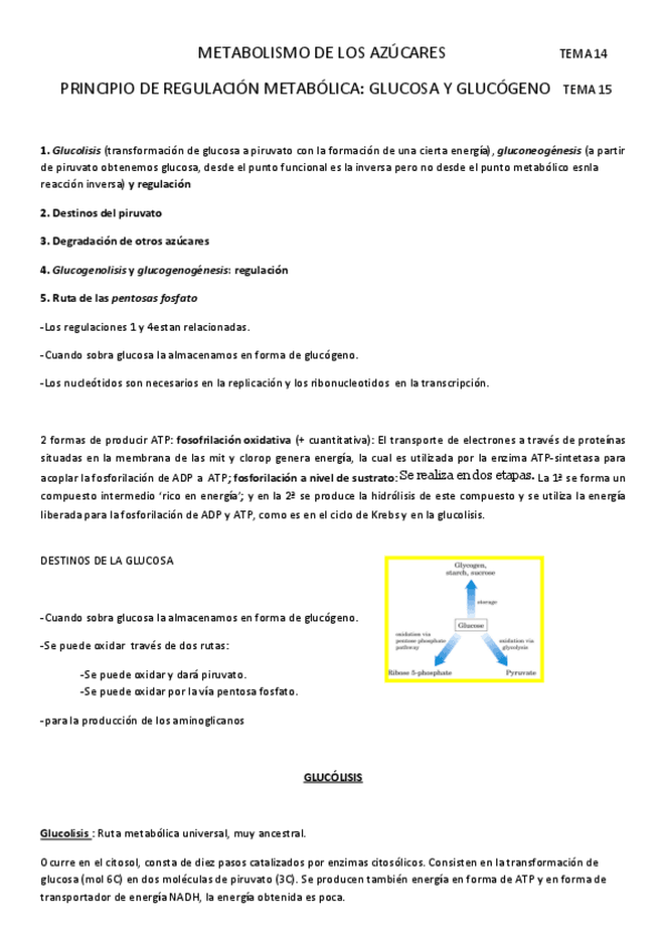 Miniatura del documento Temas-14-y-15.pdf