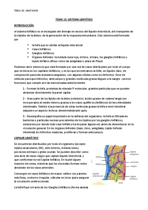 Miniatura del documento TEMA-15-SISTEMA-LINFATICO.pdf