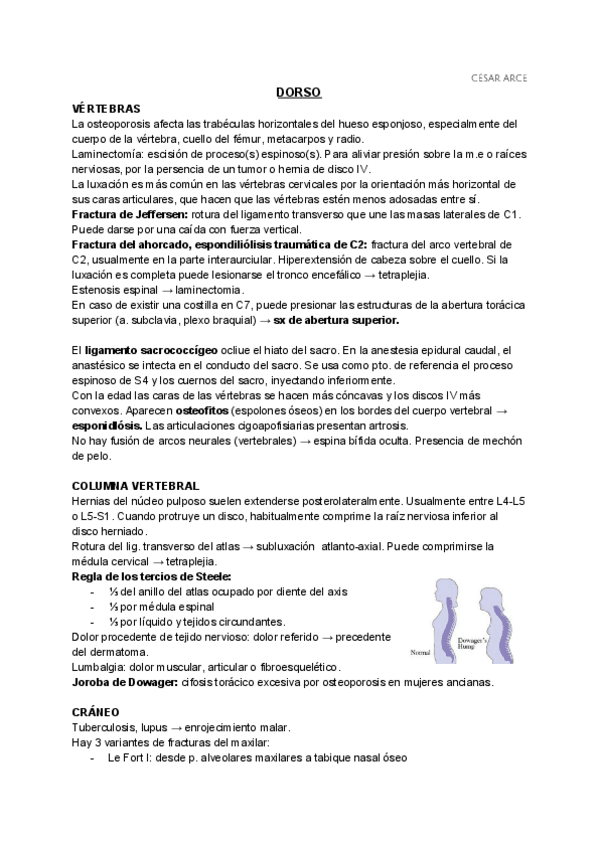 Miniatura del documento ANATO-I-CLINICA.pdf