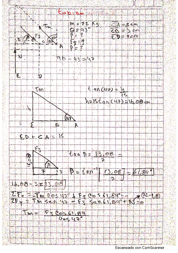 Miniatura del documento biomecanica137.pdf