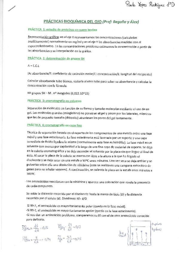 Miniatura del documento Resumen prácticas bioquimica.pdf