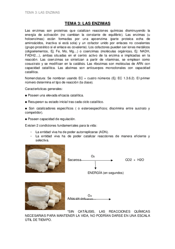 Miniatura del documento TEMA-3-ENZIMAS.docx