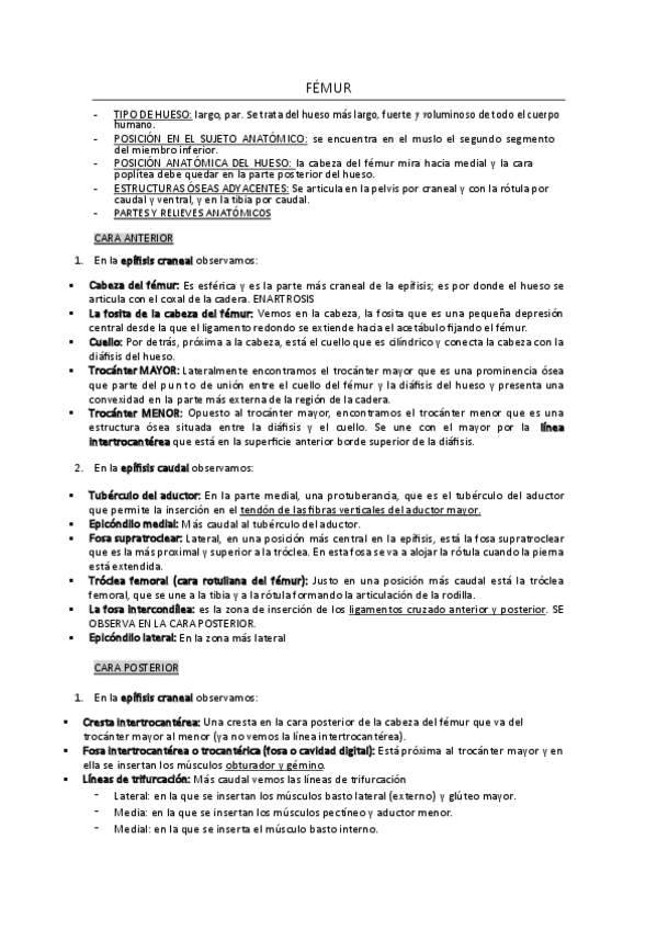 Miniatura del documento MIEMBRO-INFERIOR-comosobrevivircomomedico.pdf