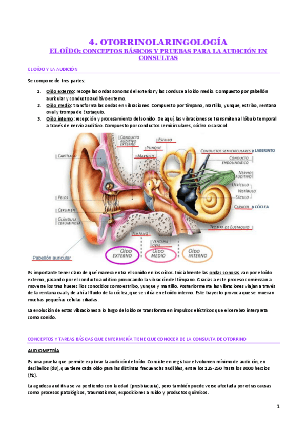Miniatura del documento OTORRINO.pdf