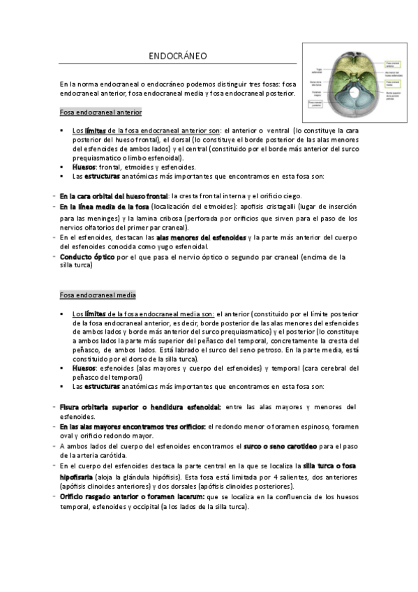 Miniatura del documento ENDOCRANEO-comosobrevivircomomedico.pdf
