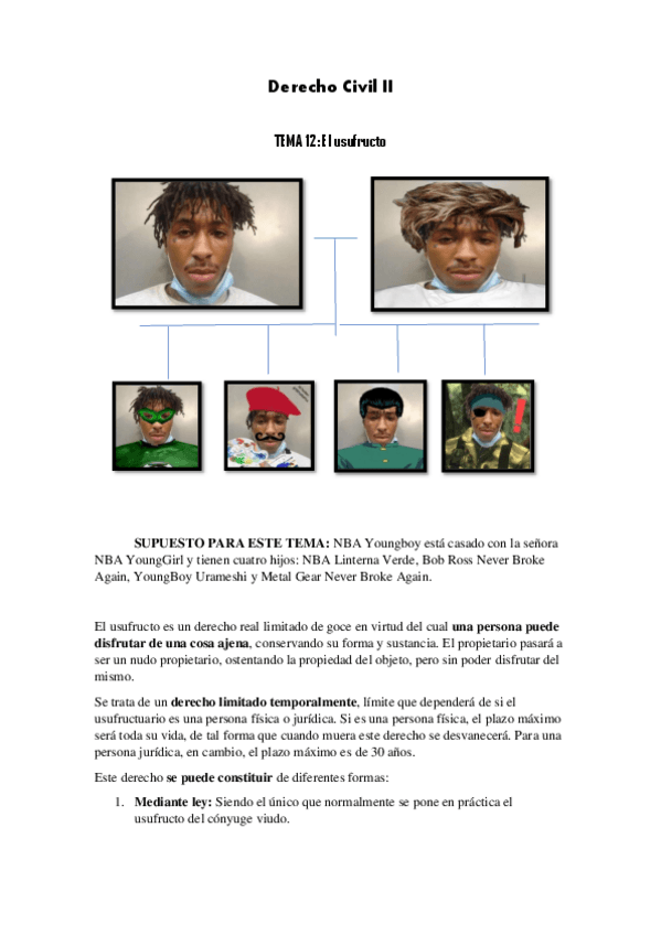 Miniatura del documento Derecho-Civil-II-tema12.pdf