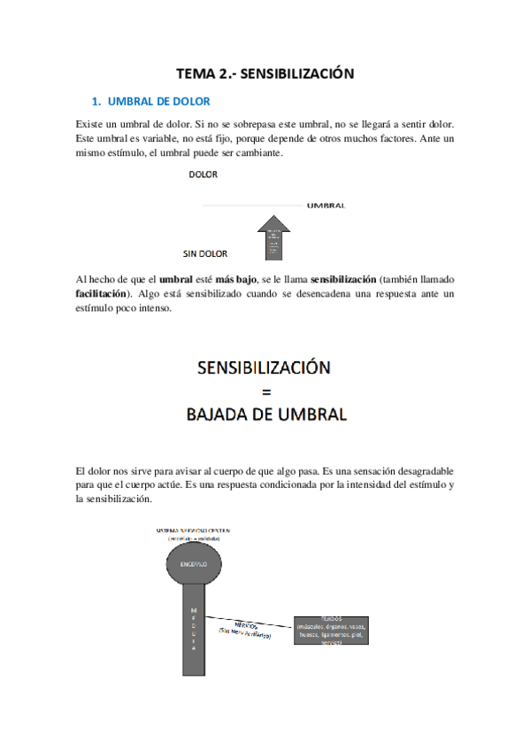 Miniatura del documento TEMA-2-SENSIBILIZACION-Y-VISCERAL.pdf