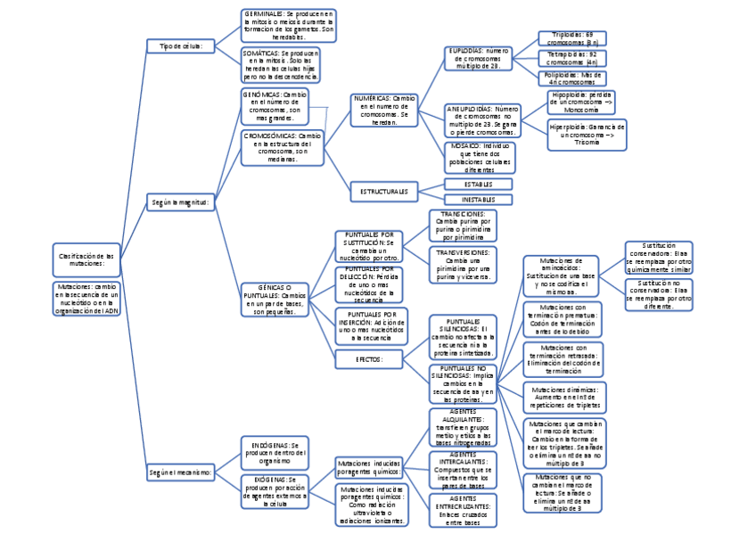 Miniatura del documento esquema-mutaciones.pdf