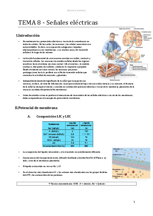 Miniatura del documento d-TEMA-8-Senales-electricas-1-1.pdf