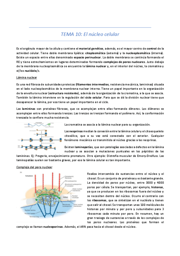 Miniatura del documento TEMA-10-21-22.pdf