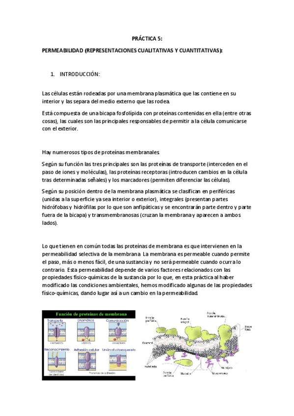 Miniatura del documento P5PERMEABILIDAD.pdf