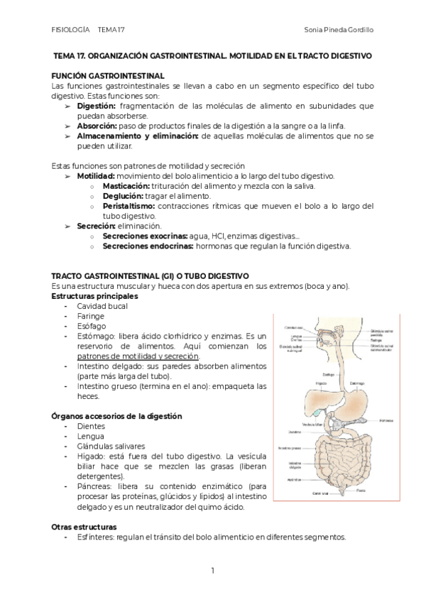 Miniatura del documento FIS.pdf