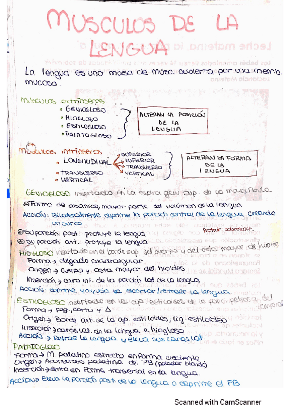 Miniatura del documento Aapunte-2.pdf