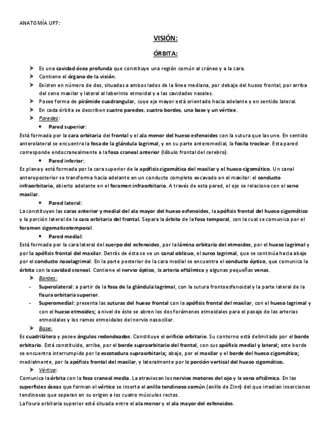 Miniatura del documento ANATOMIA-UP7.pdf