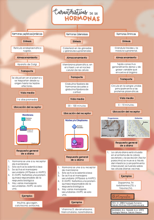 Miniatura del documento MAPA-CONCEPTUAL-HORMONAS.pdf