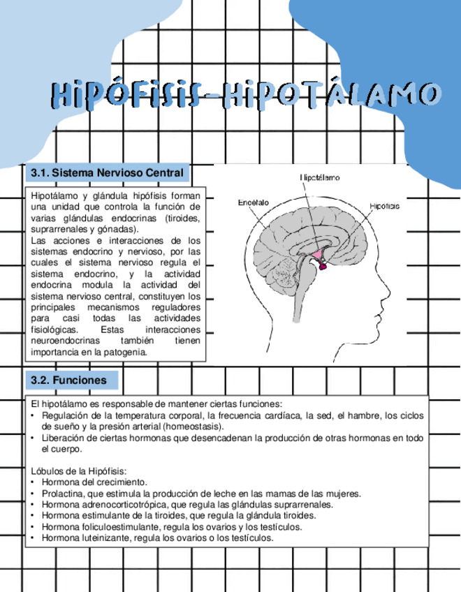 Miniatura del documento HIPOFISIS-E-HIPOTALAMO.pdf