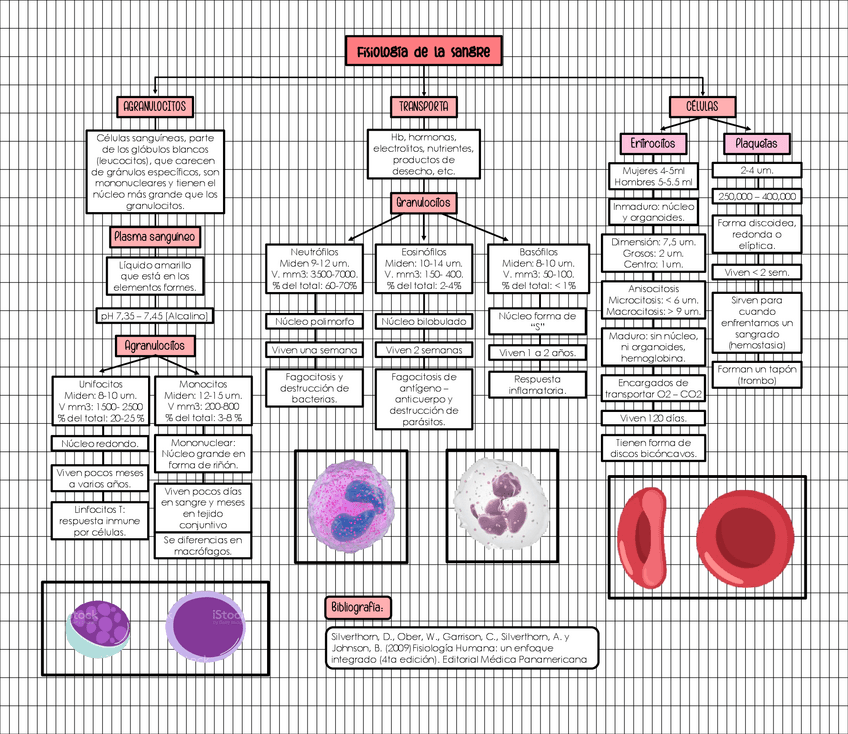 Miniatura del documento FISIOLOGIA-DE-LA-SANGRE.pdf