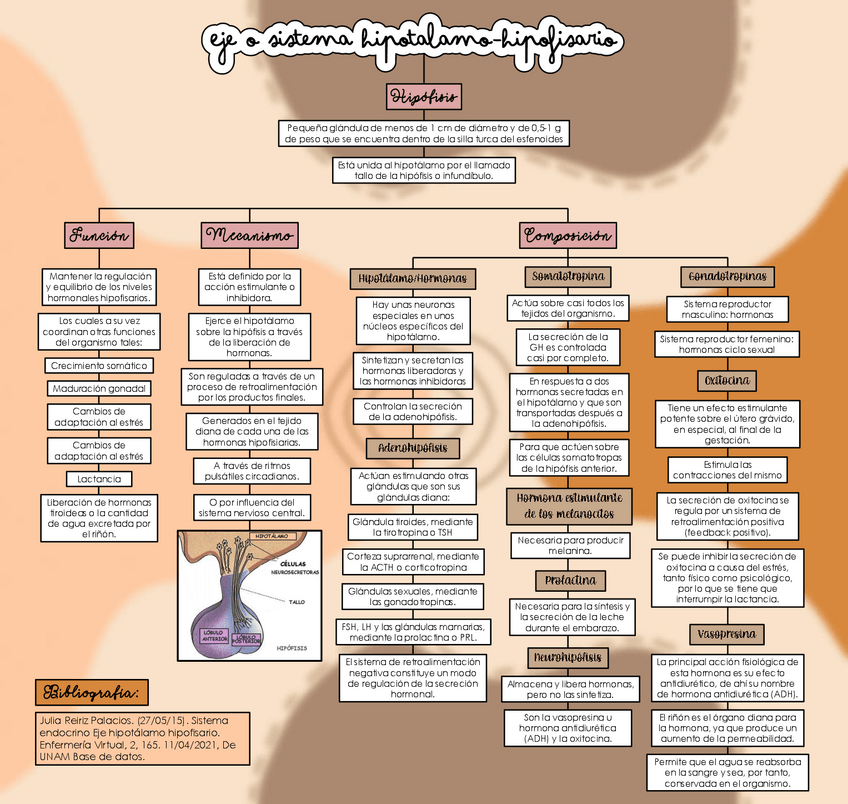 Miniatura del documento EJE-HIPOTALAMO.pdf