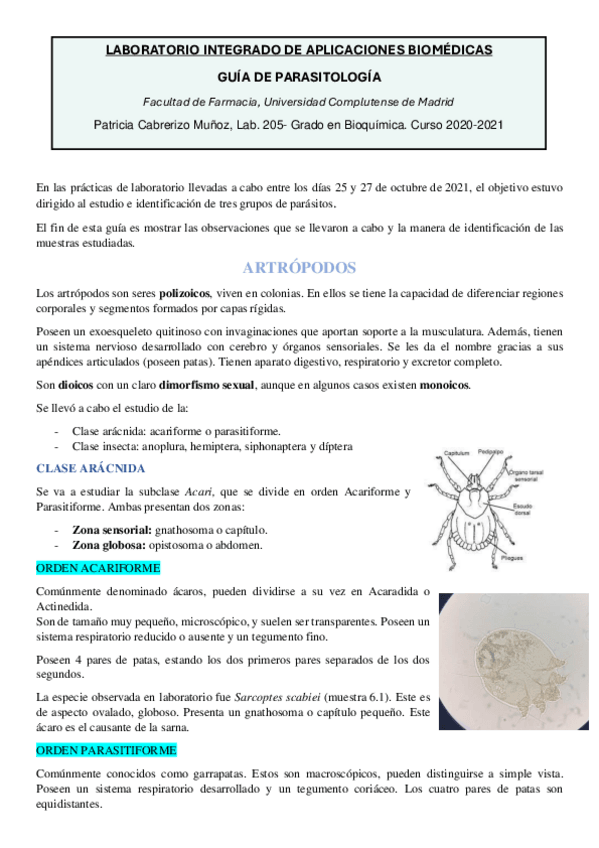 Miniatura del documento Guia-parasitologia-1.pdf