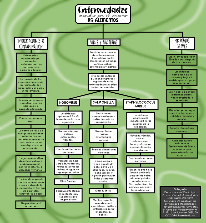 Miniatura del documento ENFERMEDADES-CAUSADAS-POR-ALIMENTOS.pdf