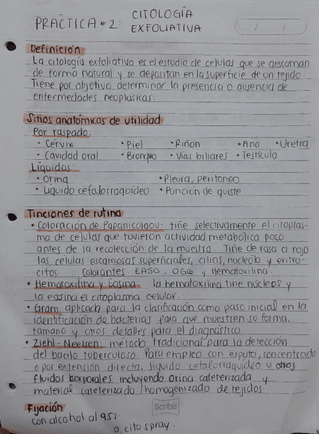 Miniatura del documento Practica-2-Citologia-Exfoliativa.pdf