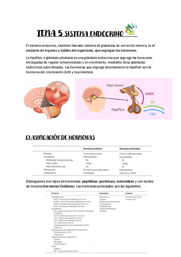 Miniatura del documento Tema-5.pdf