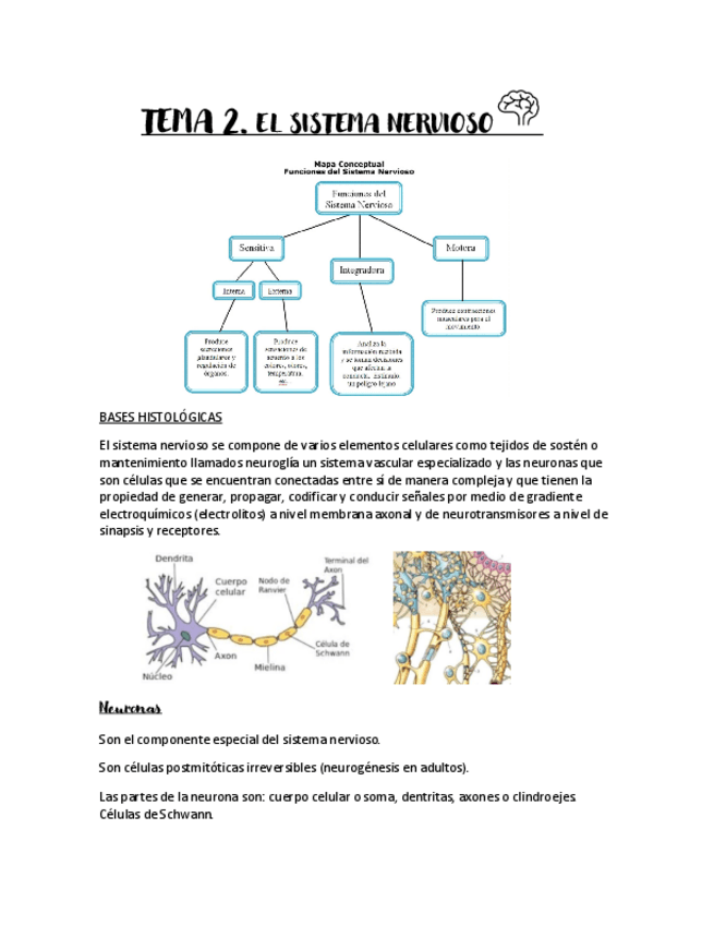Miniatura del documento Tema-2.pdf