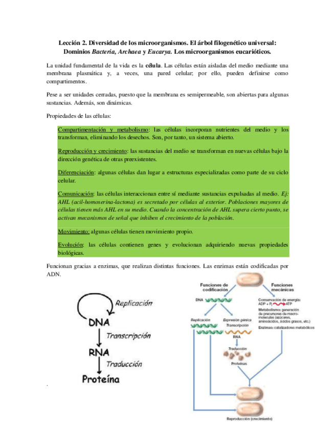 Miniatura del documento Tema 2 - Filogenia.pdf