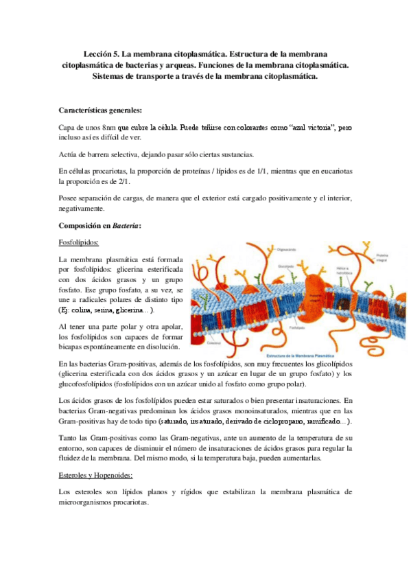 Miniatura del documento Tema 5 - Membrana citoplasmática.pdf