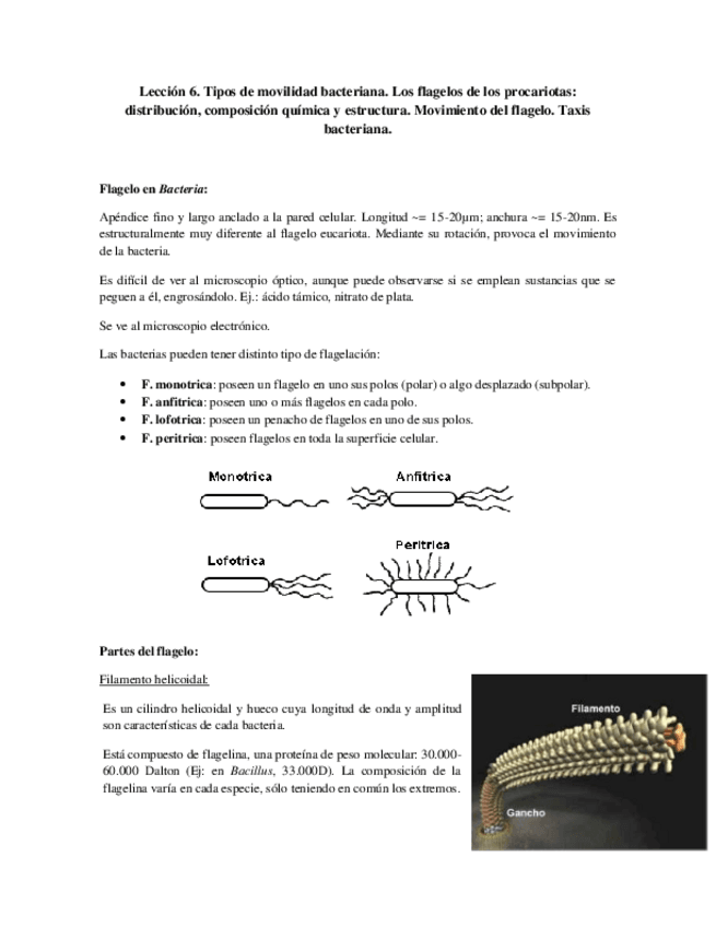 Miniatura del documento Tema 6 - Movilidad bacteriana.pdf