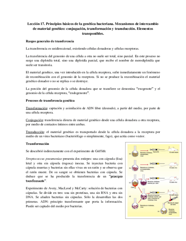 Miniatura del documento Tema 17 - Principios básicos de genética bacteriana.pdf