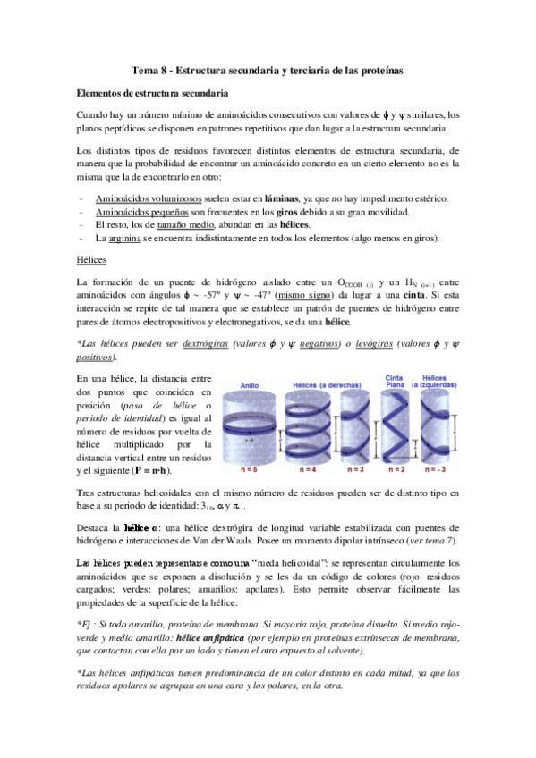 Miniatura del documento Tema 8 - Estructura secundaria y terciaria de las proteínas.pdf