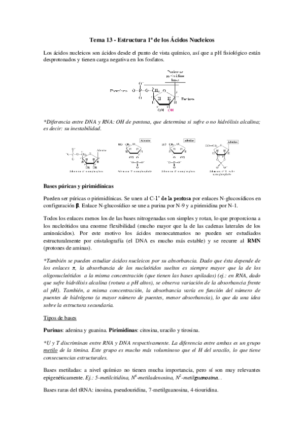 Miniatura del documento Tema 13 - Estructura Primaria de los Ácidos Nucleicos.pdf
