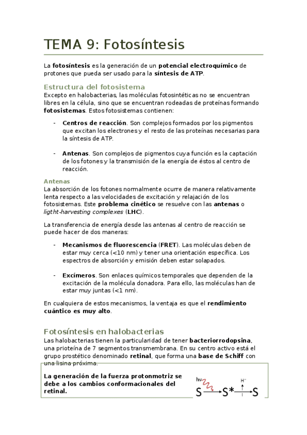 Miniatura del documento TEMA-9.docx