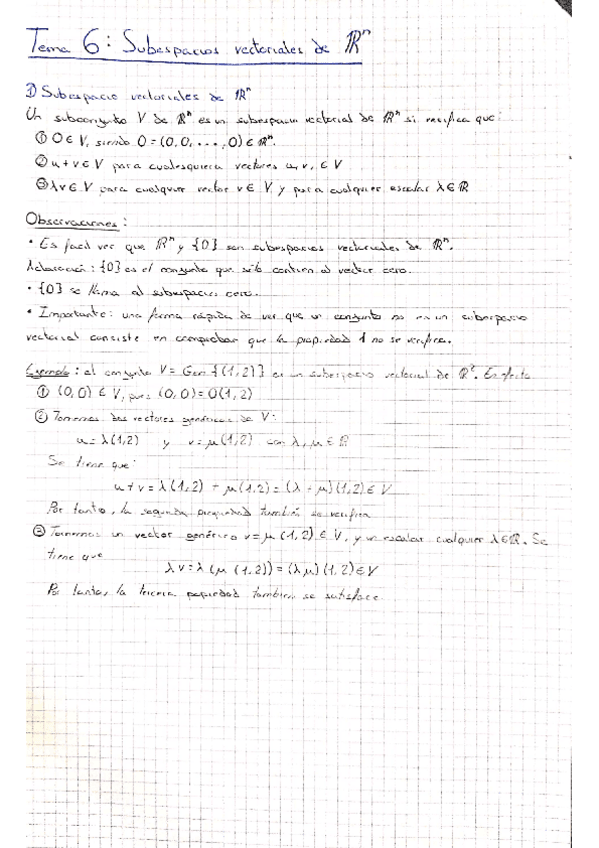 Miniatura del documento TEMA-6.pdf