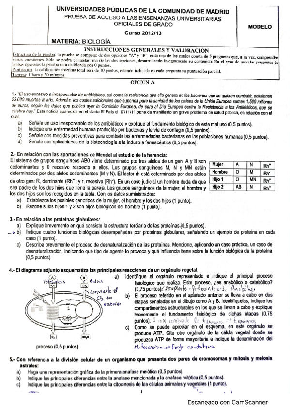 Miniatura del documento modelo-2012-2013.pdf