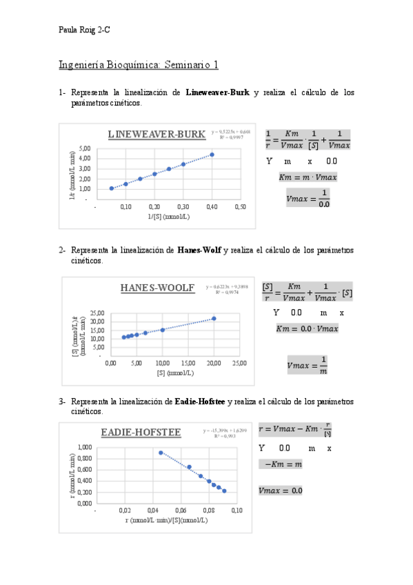 Miniatura del documento Informe-seminario-1.pdf