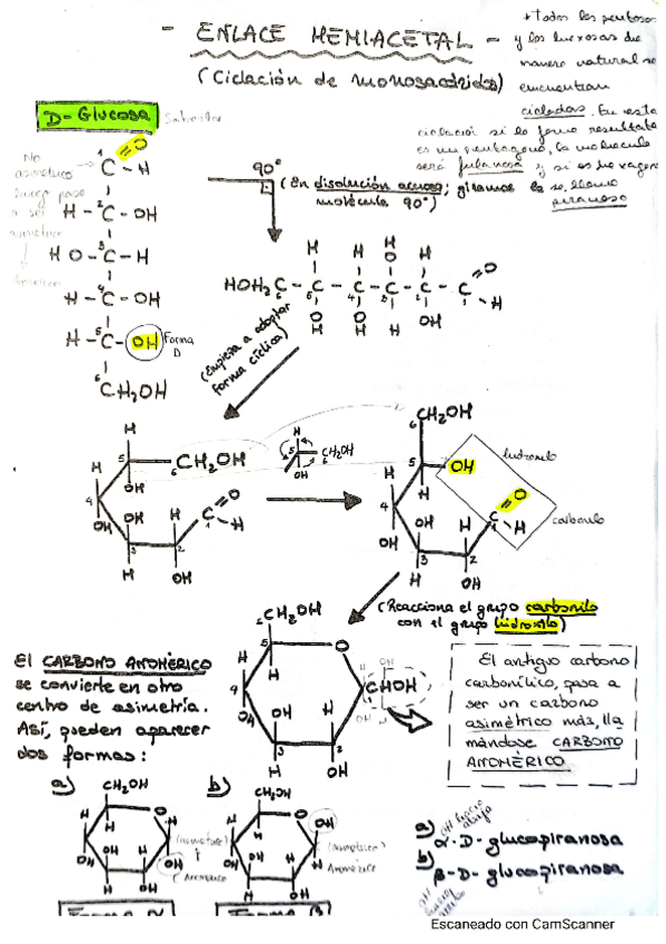 Miniatura del documento enl-hemiacetal-y-o-gluc.pdf